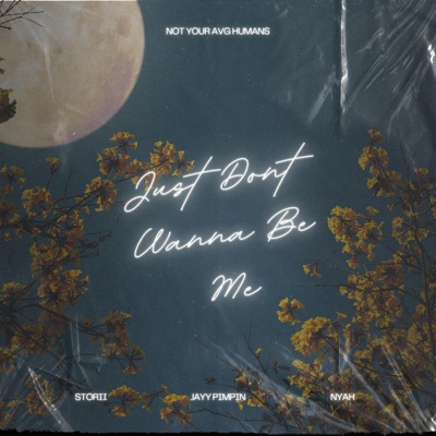 JUST DONT WANNA BE ME (feat. Storii & Jayy Pimpin) cover artwork