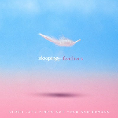 SLEEPING FEATHERS (feat. Storii & Jayy Pimpin) cover artwork